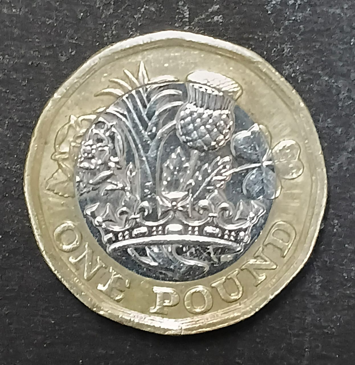 One Pound Coin – UK, Queen Elizabeth II (2017) - Image 3