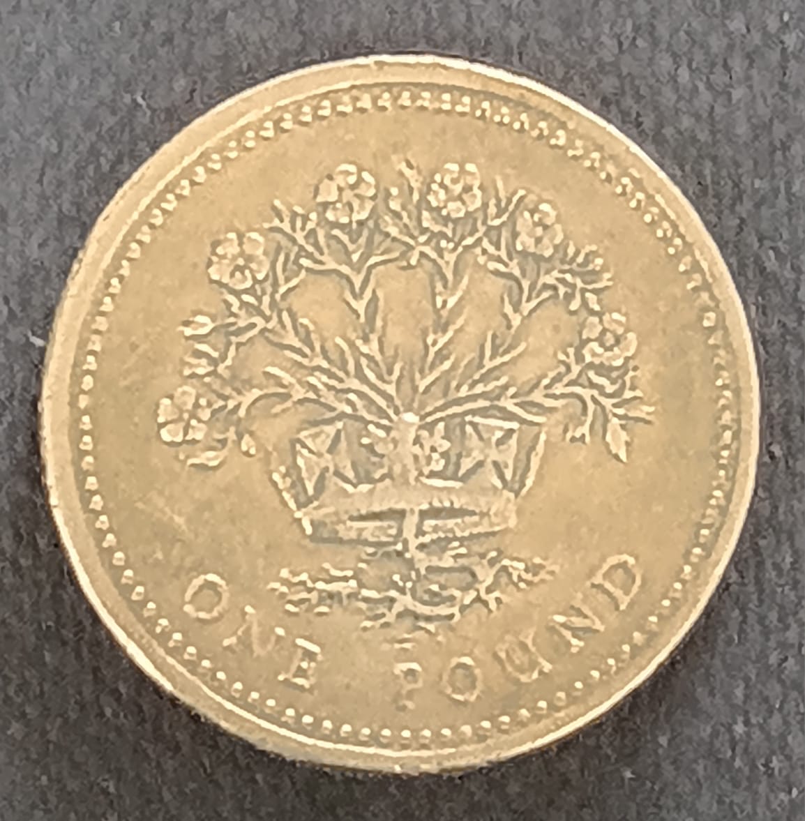 1991 One Pound Coin – Elizabeth II – Nickel-Brass – $5 - Image 3