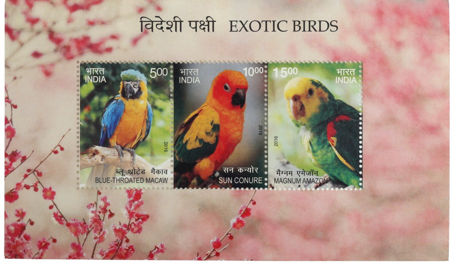 Exotic Birds – Commemorative Stamp Sets (India, 2016) – $8 - Image 2
