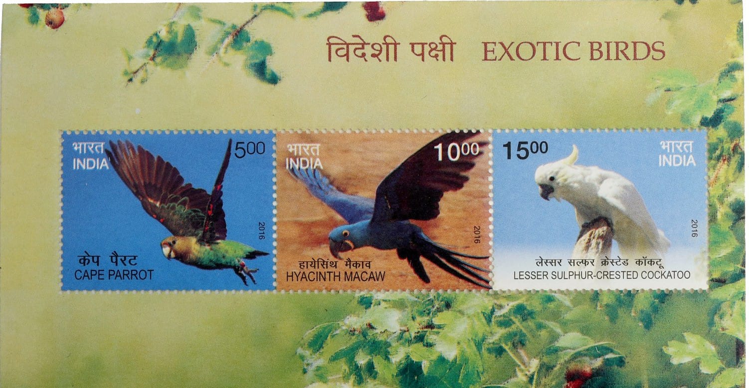 Exotic Birds – Commemorative Stamp Sets (India, 2016) – $8 - Image 3